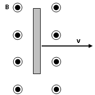 2141_Magnetic field.png