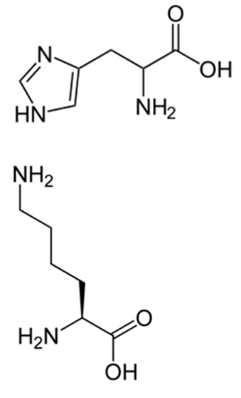 2220_amino acids.jpg