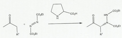 435_Draw the enantiomer of proline1.png
