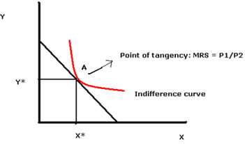 811_What is a budget constraint.png