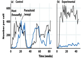 938_difference between the control and experimental cage.png