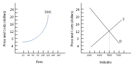 989_What level of output should this firm produce.png